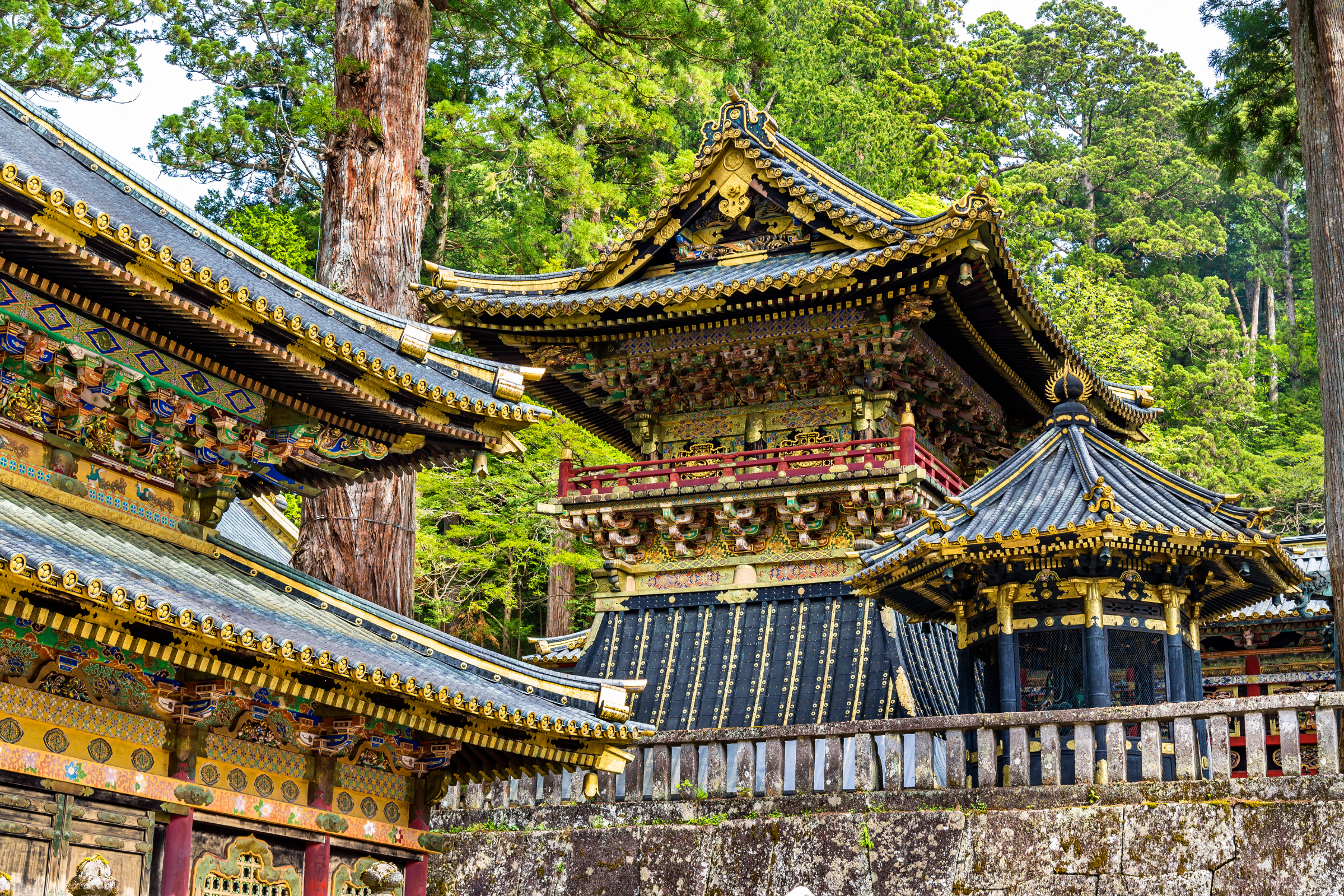 nikko (2).webp